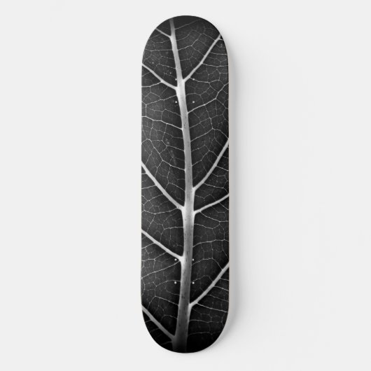 Schwarzweißblatt nah skateboard (Vorderseite)