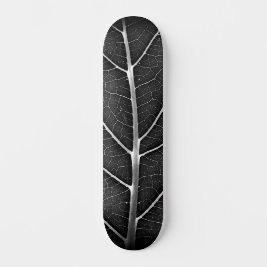 Schwarzweißblatt nah skateboard (Vorderseite)