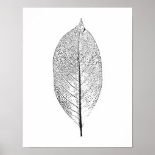 Schwarzweißblatt-Poster Poster
