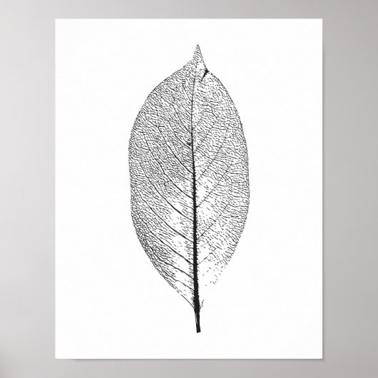 Schwarzweißblatt-Poster Poster (Vorne)