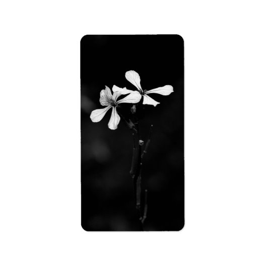 Schwarzweißblumen Adressaufkleber (Vorne)
