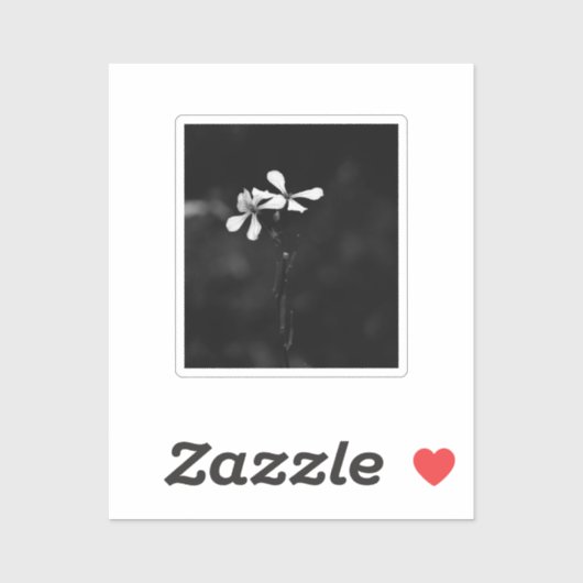 Schwarzweißblumen Aufkleber (Blatt)