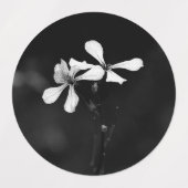 Schwarzweißblumen Etiketten (Design 2)