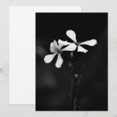 Schwarzweißblumen Feiertagskarte (Vorne/Hinten)