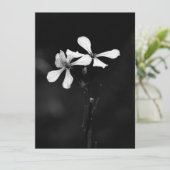 Schwarzweißblumen Feiertagskarte (Stehend Vorderseite)