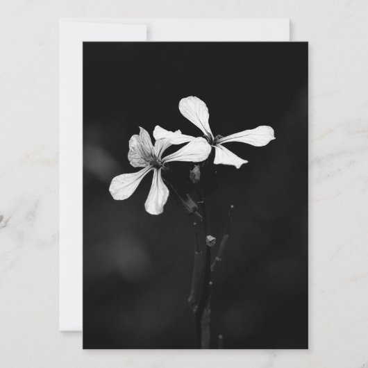 Schwarzweißblumen Feiertagskarte (Vorderseite)