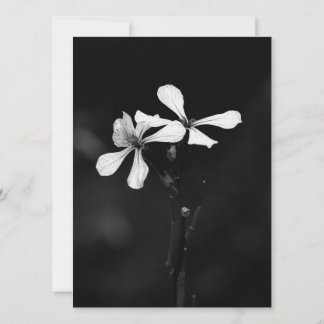 Schwarzweißblumen Feiertagskarte