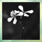 Schwarzweißblumen Fensteraufkleber (Blatt 3)
