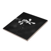 Schwarzweißblumen Fliese (Seite)