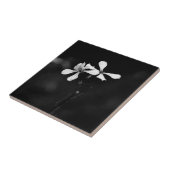 Schwarzweißblumen Fliese (Seite)