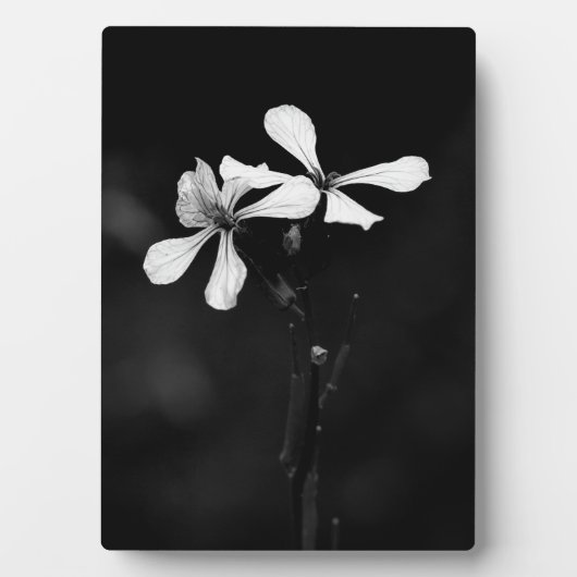 Schwarzweißblumen Fotoplatte (Vorderseite)