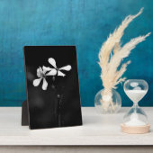 Schwarzweißblumen Fotoplatte (Seite)