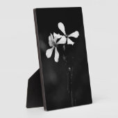 Schwarzweißblumen Fotoplatte (Seite)