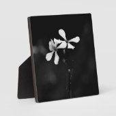 Schwarzweißblumen Fotoplatte (Vorderseite)
