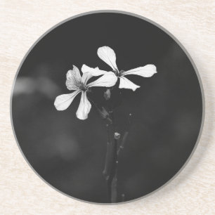Schwarzweißblumen Getränkeuntersetzer