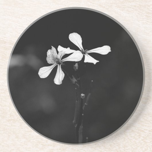 Schwarzweißblumen Getränkeuntersetzer (Vorne)