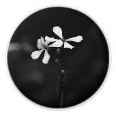 Schwarzweißblumen Keramikknauf (Vorderseite)