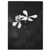 Schwarzweißblumen Klemmbrett (Rückseite)