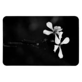 Schwarzweißblumen Magnet (Horizontal)