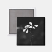 Schwarzweißblumen Magnet (Vorderseite/Rückseite)