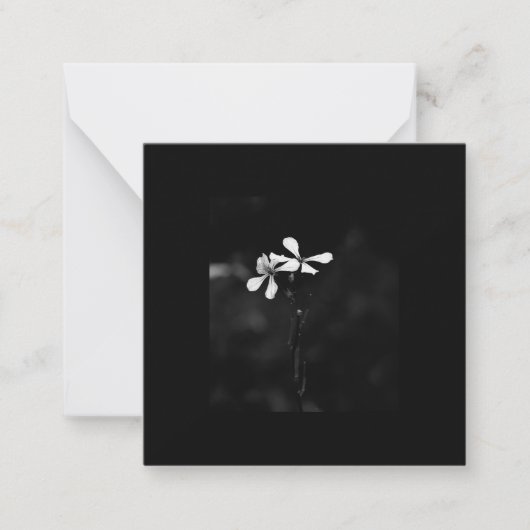 Schwarzweißblumen Mitteilungskarte (Vorderseite)