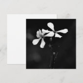 Schwarzweißblumen Mitteilungskarte (Vorne/Hinten)