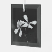 Schwarzweißblumen Ornament Aus Glas (Vorderseite links)
