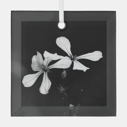 Schwarzweißblumen Ornament Aus Glas (Vorderseite)