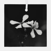 Schwarzweißblumen Ornament Aus Glas (Rückseite)