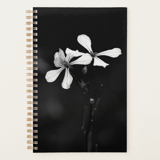 Schwarzweißblumen Planer (Vorderseite)