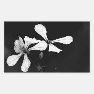 Schwarzweißblumen Rechteckiger Aufkleber