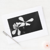 Schwarzweißblumen Rechteckiger Aufkleber (Umschlag)