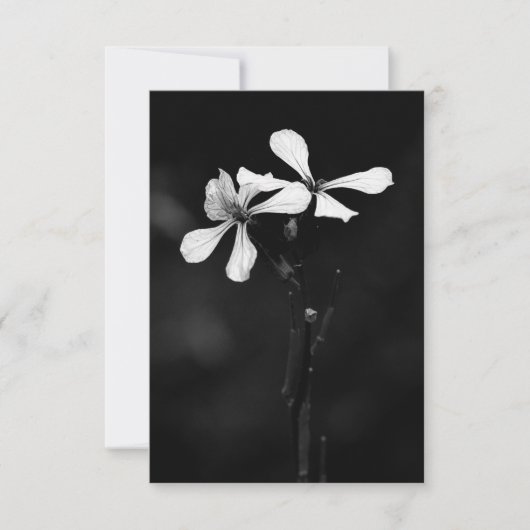 Schwarzweißblumen RSVP Karte (Vorderseite)