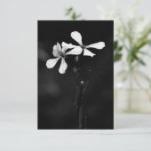 Schwarzweißblumen RSVP Karte (Stehend Vorderseite)