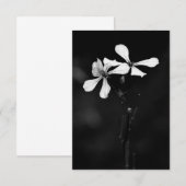 Schwarzweißblumen RSVP Karte (Vorne/Hinten)