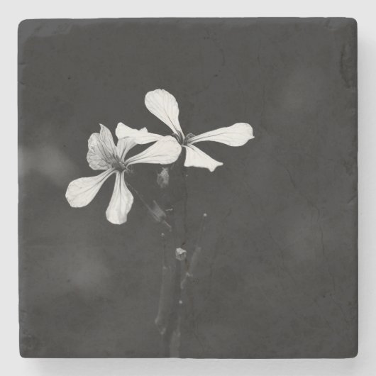 Schwarzweißblumen Steinuntersetzer (Vorderseite)