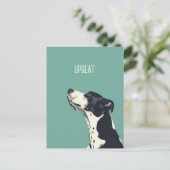 Schwarzweißboxer Postkarte (Stehend Vorderseite)
