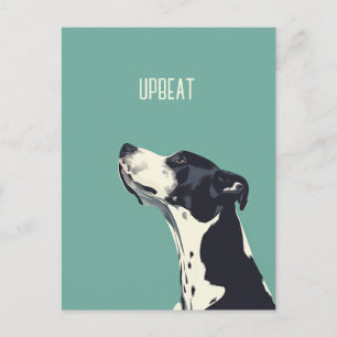 Schwarzweißboxer Postkarte