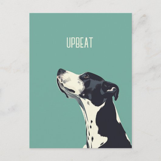 Schwarzweißboxer Postkarte (Vorderseite)
