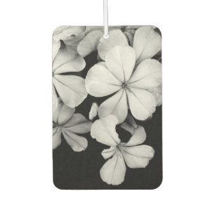 Schwarzweißfloralen Autolufterfrischer