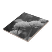 Schwarzweißfotografie Fliese (Seite)