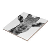 Schwarzweißfotografie Fliese (Seite)