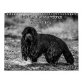 Schwarzweißfotografie Kalender (Titelbild)