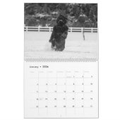 Schwarzweißfotografie Kalender (Jan 2026)