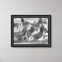 Schwarzweißfotografie Kunst Zebra