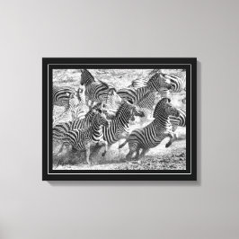 Schwarzweißfotografie Kunst Zebra Leinwanddruck