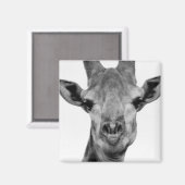 Schwarzweißfotografie Magnet (Vorderseite/Rückseite)