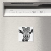 Schwarzweißfotografie Magnet (In Situ (Geschirrspüler))