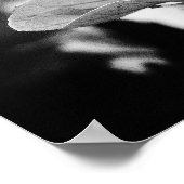Schwarzweißfotografie Poster (Ecke)