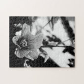 Schwarzweißfotografie Puzzle (Horizontal)